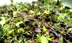 Nature et Saveurs - Ferme Aquaponique et Permacole Astérienne - Micropousses séchées – condiment végétal concentré