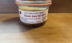 Des Poules et des Vignes à Bourgueil - Balade dans les vignes