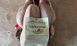 Ferme du Vidalies - [Précommande] Chapon de pintade ≈ 2,1kg - 6 à 8 personnes