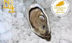 Le Termer - Huîtres de Normandie IGP N°4-240 Pièces "Saveurs de Normandie"