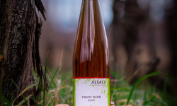Domaine François WECK et fils - Pinot Noir Rosé Cuvée Maxence 2023 - 75 cl
