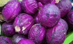 Nature et Saveurs - Ferme Aquaponique et Permacole Astérienne - Chou cabus rouge – La couleur vive au cœur de l’assiette