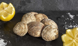 Fine de Cancale - Praires - 1kg