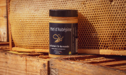 Les Ruchers de Normandie - Miel de Aubépine & autres petites fleurs crémeux 250g