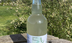 Ferme Sinsac - Limonade de Verveine