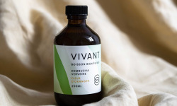 Vivant Kombucha - Kombucha Verveine Fleur d'oranger Bio x6
