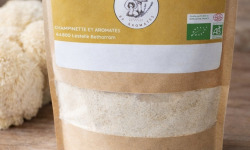 Champinette et Aromates - POUDRE DE CRINIERE DE LION
