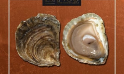 Saint Kerber - Cancale - Huîtres - La plate 1930 "belon" calibre Moyennes - 25 pièces (2 douzaines + 1 huitre offerte)