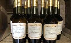 Château des Plassons - 1 Pineau Des Charentes Rastignac Jeune Blanc