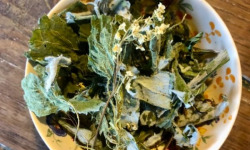 La Cabane à plantes - Infusion Nouveau départ