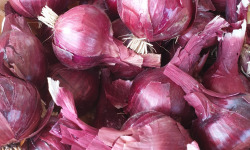 La Ferme de Milly - Anjou - OIGNONS ROUGES-BIO-1KG