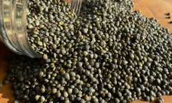 La Ferme du Joyeux Laboureur - Lentilles vertes en vrac 1kg