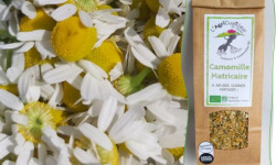 L'Agricueilleur du Suzon - Camomille BIO