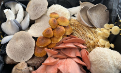 Naturélium - Panier mix du moment 2kg