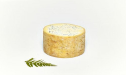 Fromage Gourmet - Fourme de Montbrison AOP 1/2 - 1,200kg