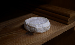 Alléosse Maitre Artisan Affineur Fromager - Camembert Di Buffala