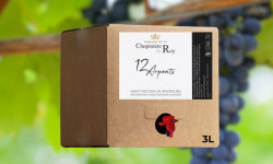 Domaine de la Chopinière du Roy - BIB de Vin Rouge Saint Nicolas de Bourgueil 2024 - 3 Litres