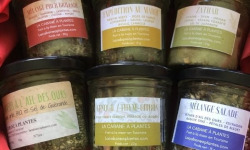 La Cabane à plantes - Coffret Les épices incontournables