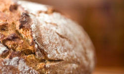 Adal Terra - Mélange de Farines Biodynamiques pour Pain aux 2 Epeautres 1KG
