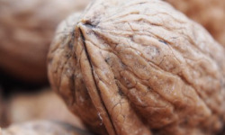 Mon Petit Producteur - Noix En Coque Sèche [500 g]