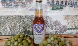 Cave Creuzet - Les Caves aux Caux - Pur jus de raisin pétillant 33cL - sans alcool - Lot de 6