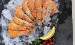 Notre poisson - Crevettes rose 40/60 - 2kg