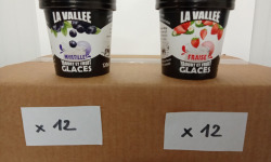 Les Glaces de la Vallée - PACK Mini yaourts glacés  "la Vallée" 24 pots de 120 ml (12 fraise + 12 myrtille)