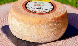 Fromagerie Saint Goal - La Pluvignoise-Tomme de chèvre - nature - 3 kg