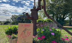 Domaine du Buisson - Bib fontaine à vin de 5L - Rosé - Vin de France
