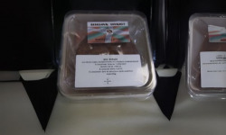 Bassilour Gourmet - Burger truite en kit