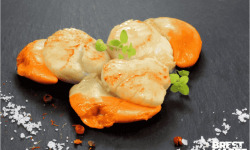 Brest Marée - Noix de Saint Jacques de la Rade de Brest - 400g