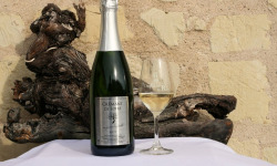 Domaine de la Chopinière du Roy - Crémant de Loire Blanc Brut, Fines Bulles et Fruité AOP - 6x75 cl