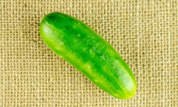 ChâteauFer - Concombre - Libanais 200g