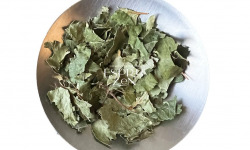 Esprit Zen - Feuilles de Bouleau coupées - Tisane - 2 Sachets de 500g