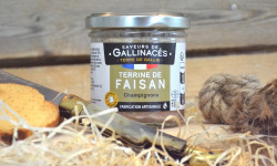 Terre de Gallie - Terrine de faisan aux champignons