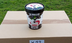 Les Glaces de la Vallée - PACK Yaourt et fruits glacés au cassis "la Vallée" 12 pots de 500 ml