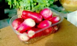 Nature et Saveurs - Ferme Aquaponique et Permacole Astérienne - Radis Mélange Sans Fanes — croquant prêt à cuisiner