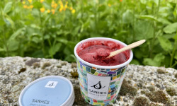 Myrtilles du Trimoulet - Sorbet Myrtilles - Pot 100 mL