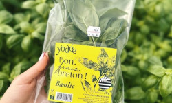 Agriloops - Basilic Breton - 11 g