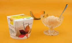 Le Jardinier Glacier - Sorbet Melon Charentais - 516ml