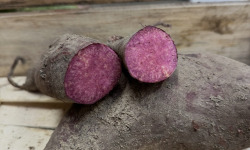 ChâteauFer - Patate douce - Chair violette 1kg