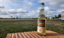 ChâteauFer - Kombucha Sureau 33cl