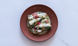 Etablissements JC David - Sardines à l'huile d'olive vierge extra BIO millésimées