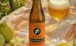 La Brasserie Parallèle - Brasserie sans alcool - Bière aux Fruits Tropicaux sans alcool 12x33cl
