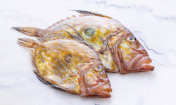 Poissonnerie La Piriacaise - FILET DE SAINT PIERRE 300g