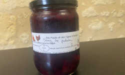 Des Poules et des Vignes à Bourgueil - Sang de pintade ( EXPÉDITION UNIQUEMENT DU LUNDI AU MERCREDI)