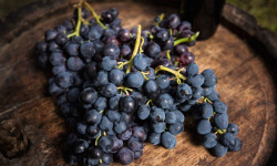Les Jardins de Gérard - Raisin noir Bio - 400g