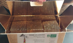 Ferme Les Jardines - Pâtes de fruits de Kïwais Bio