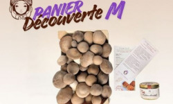 Les Myconautes - Panier Myconautes champignons bio - Taille M