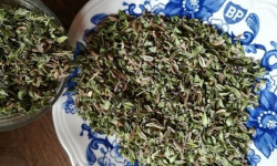 La Cabane à plantes - Thym citron-Fenouil